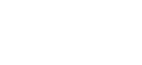 logo in white